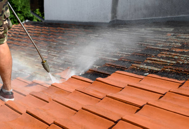 Best Roof Pressure Washing  in Wendell, NC