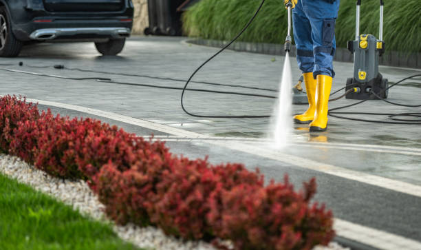 Best Pressure Washing Near Me  in Wendell, NC