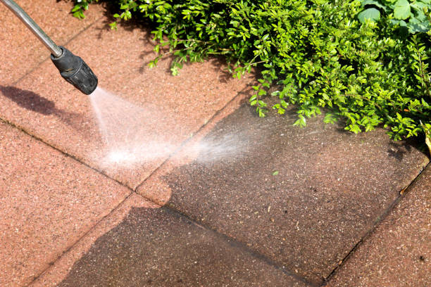 Best Power Washing Near Me  in Wendell, NC